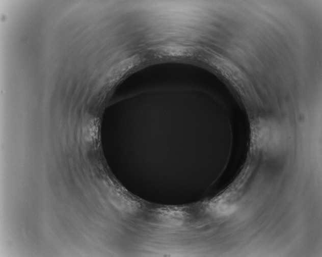 X0000087350284200704201130