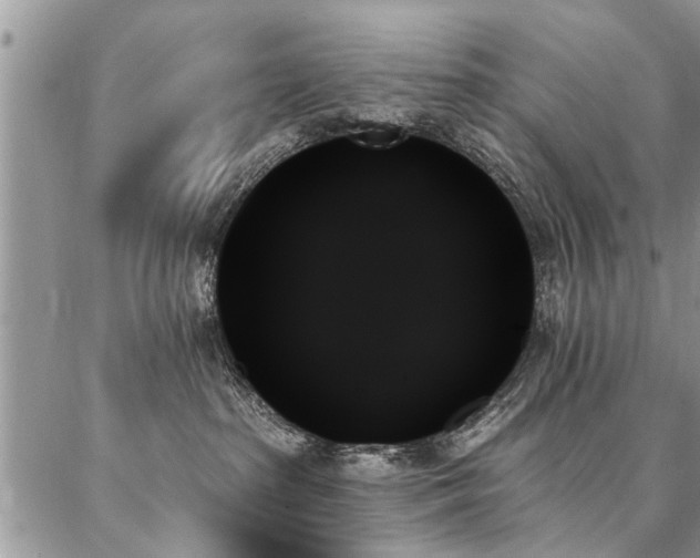 X0000087350285200704201130