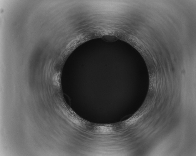 X0000087350286200704201130