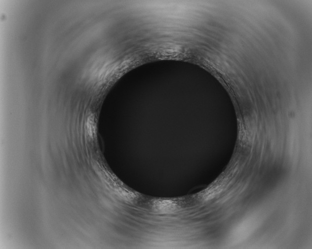 X0000087350287200704201130