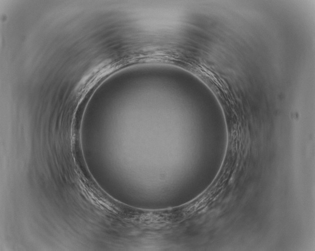 X0000087350290200704201129