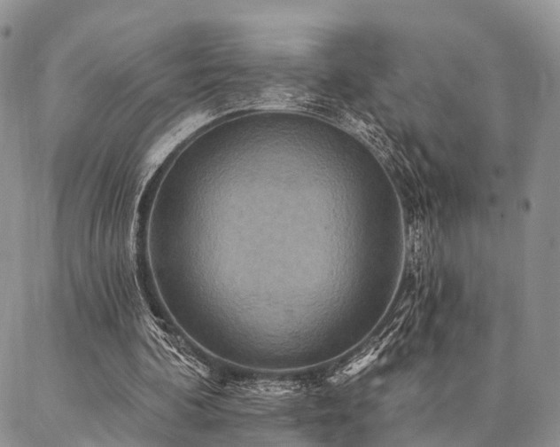 X0000087350292200704201129