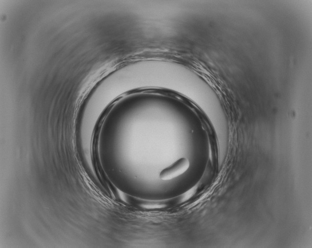 X0000087350293200704201129