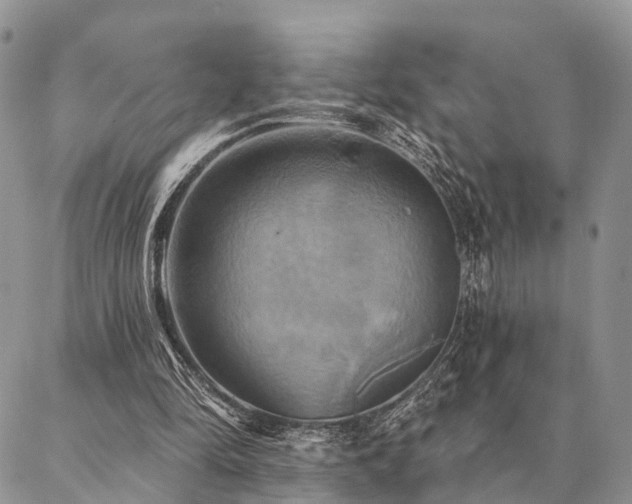 X0000087350294200704201129