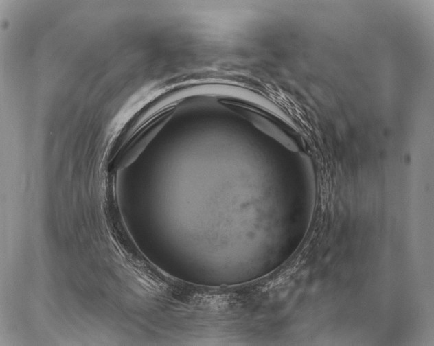 X0000087350295200704201129