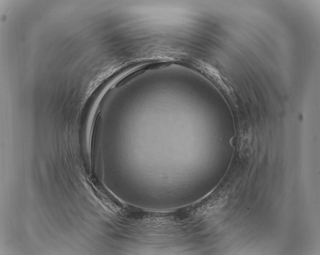 X0000087350299200704201129