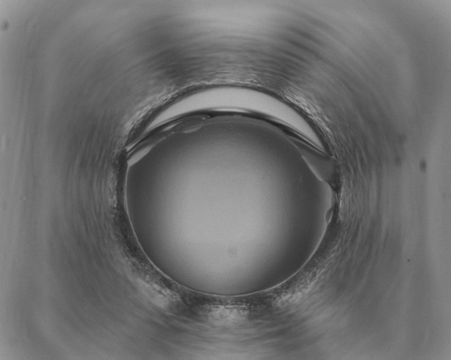 X0000087350303200704201129