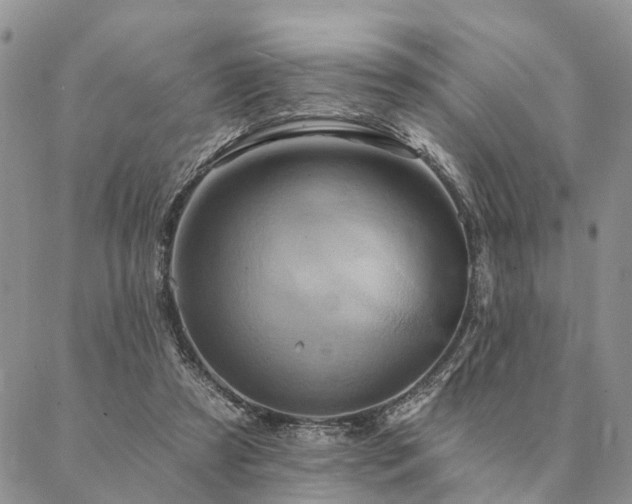 X0000087350305200704201129