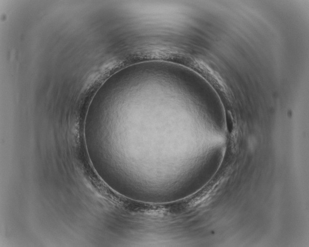 X0000087350306200704201129