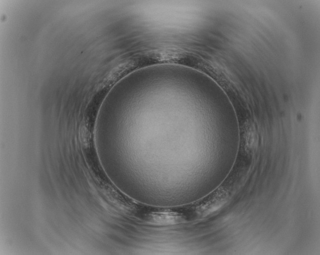 X0000087350316200704201129