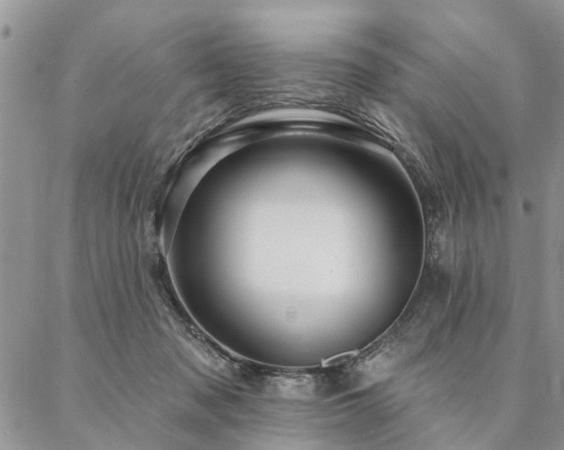 X0000087350317200704201128
