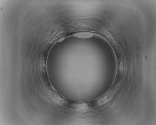 X0000087350322200704201128