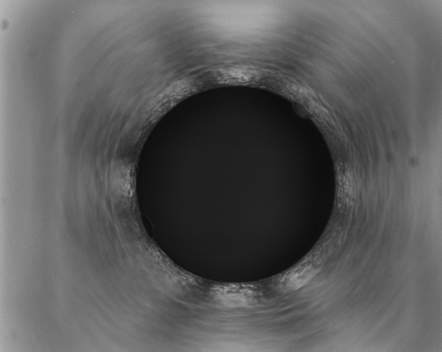 X0000087350331200704201128