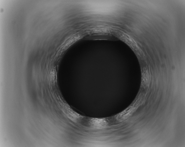 X0000087350333200704201128