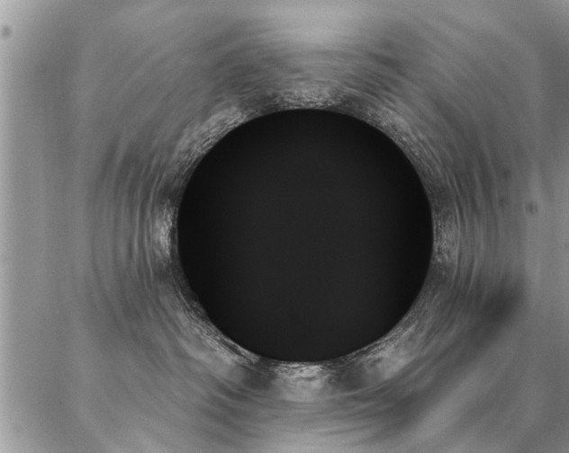 X0000087350334200704201128