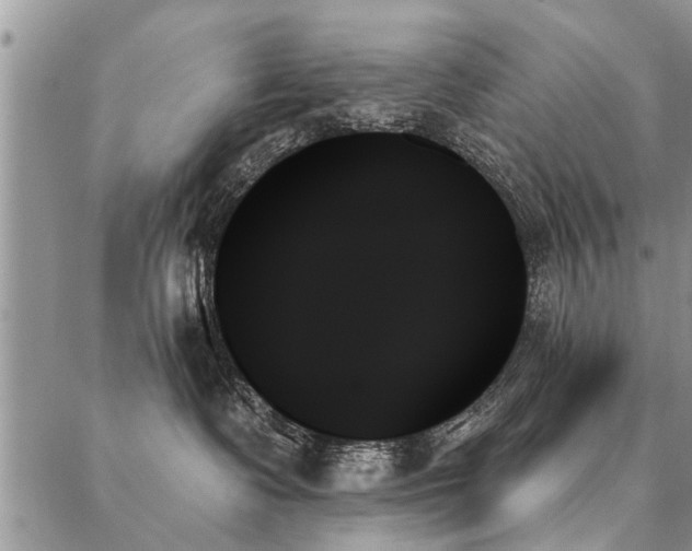 X0000087350335200704201128