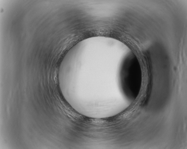 X0000087350336200704201128
