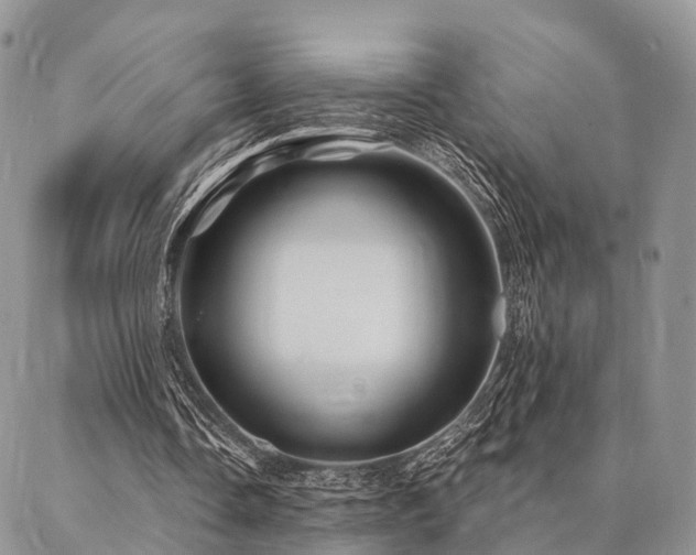 X0000087350338200704201127