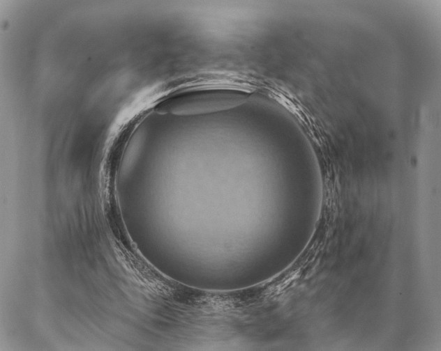 X0000087350343200704201128
