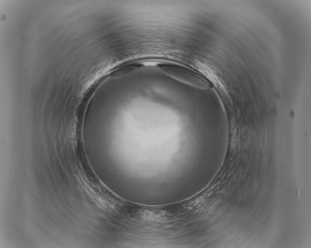 X0000087350346200704201128