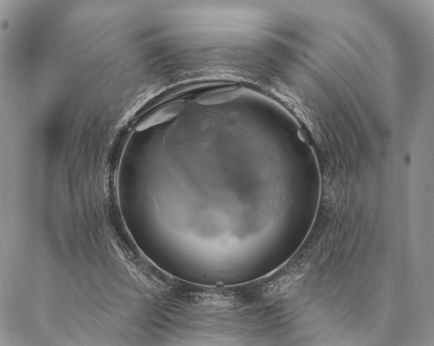 X0000087350347200704201128