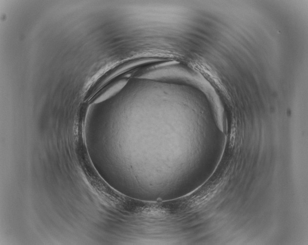 X0000087350348200704201128