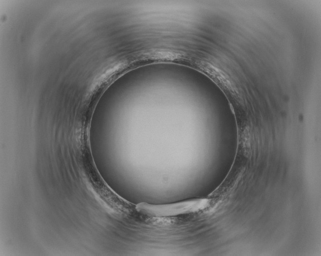 X0000087350352200704201128