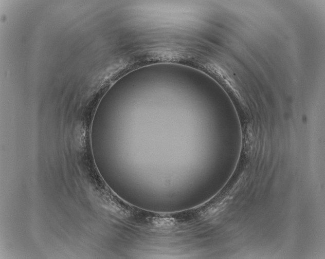 X0000087350355200704201128