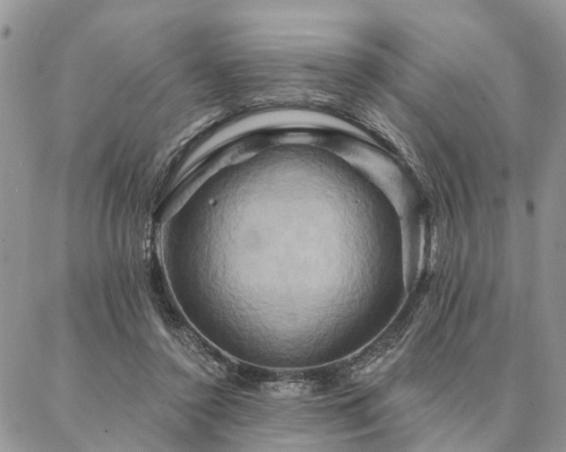 X0000087350356200704201128