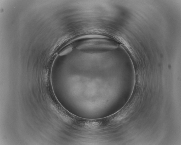 X0000087350357200704201128