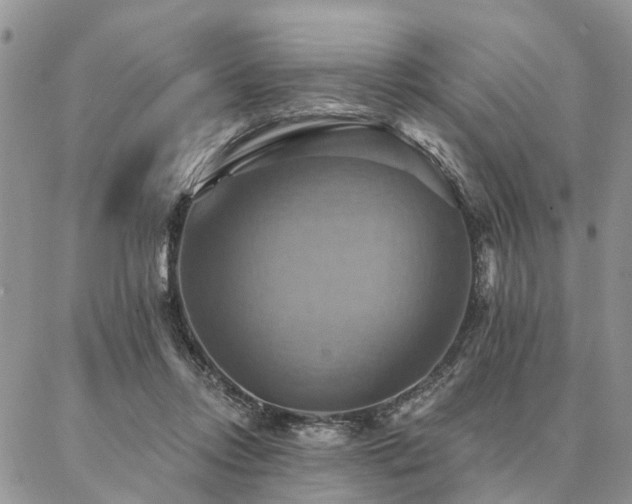 X0000087350358200704201128