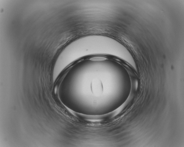 X0000087350362200704201128