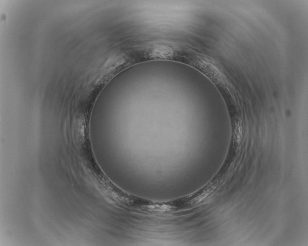 X0000087350363200704201128