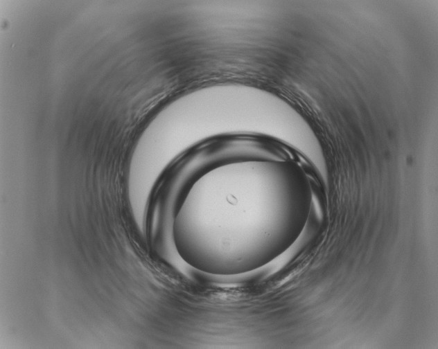 X0000087350364200704201128