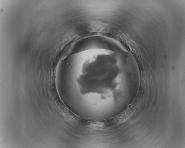 X0000087350369200704201128