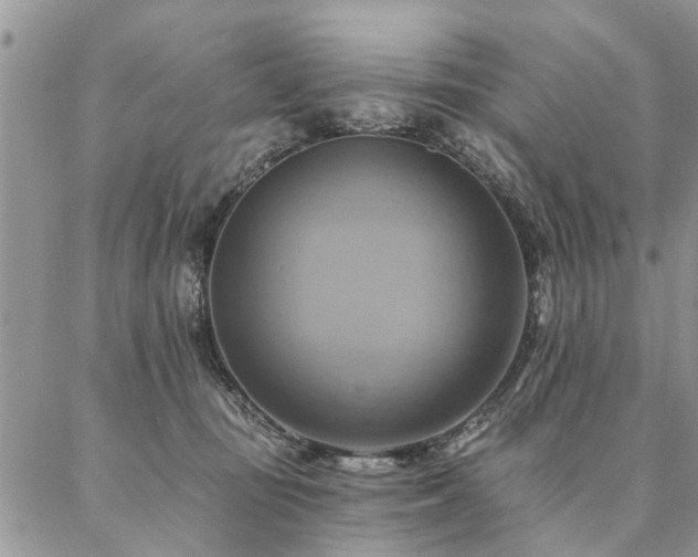X0000087350371200704201128