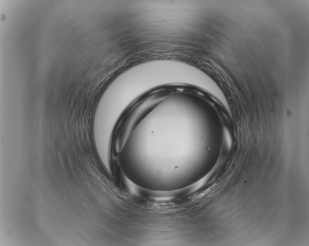 X0000087350372200704201128