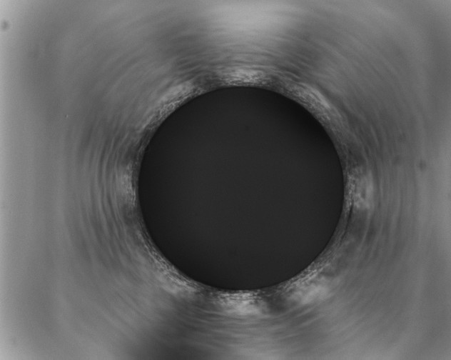 X0000087350377200704201128