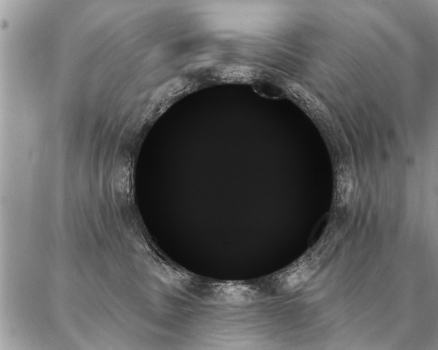 X0000087350379200704201128