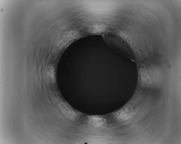X0000087350380200704201128