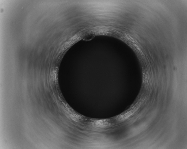 X0000087350382200704201128