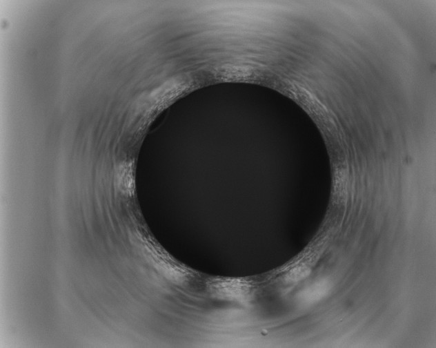 X0000087350383200704201128