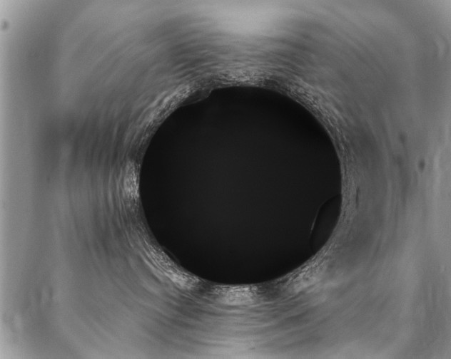 X0000087350384200704201128