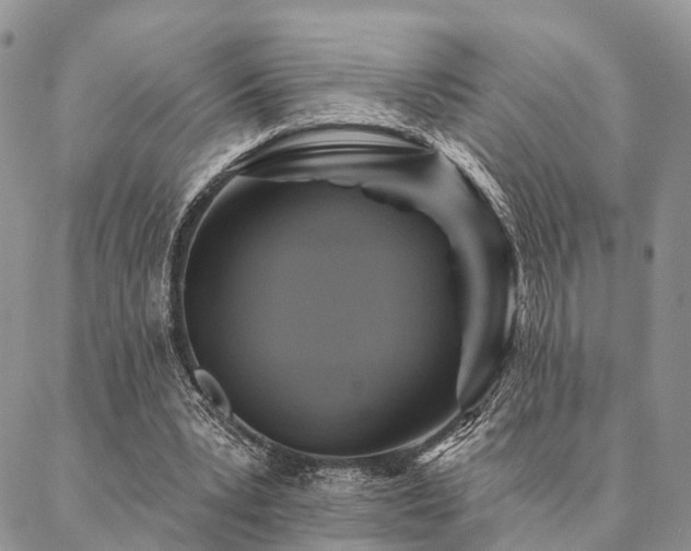 X0000087350391200704201127
