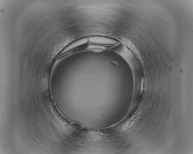X0000087350393200704201127