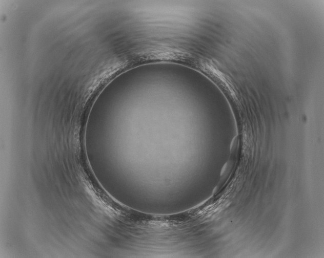 X0000087350394200704201127