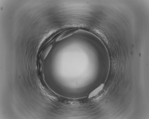 X0000087350395200704201127