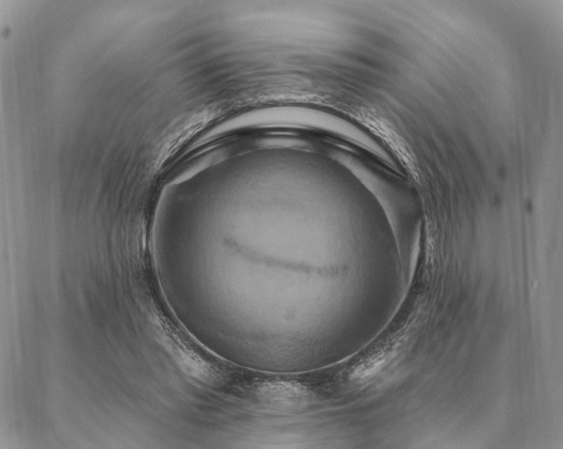 X0000087350397200704201127