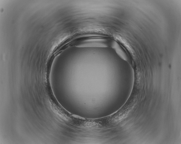 X0000087350399200704201127
