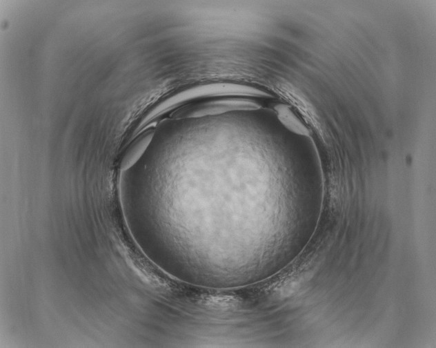X0000087350401200704201127